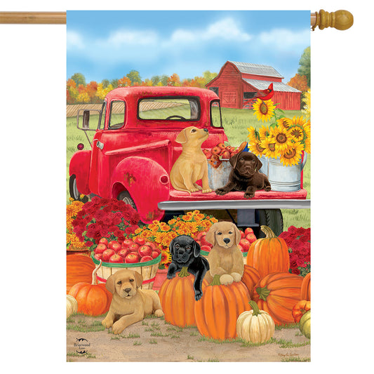 Fall Puppies House Flag
